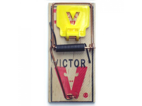 Victor  M325 M7 Pro Mouse Wood Snap Traps - 72/box