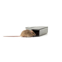 Protecta RTU Mouse Bait Stations Box --12 per box