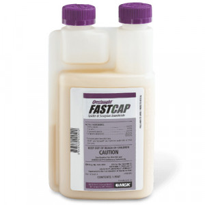 Onslaught FastCap Spider and Scorpion Insecticide -1 pint