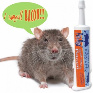 Pro-Pest Rat & Mouse Lure - Prof 32cc Syringe - Bacon Flavored