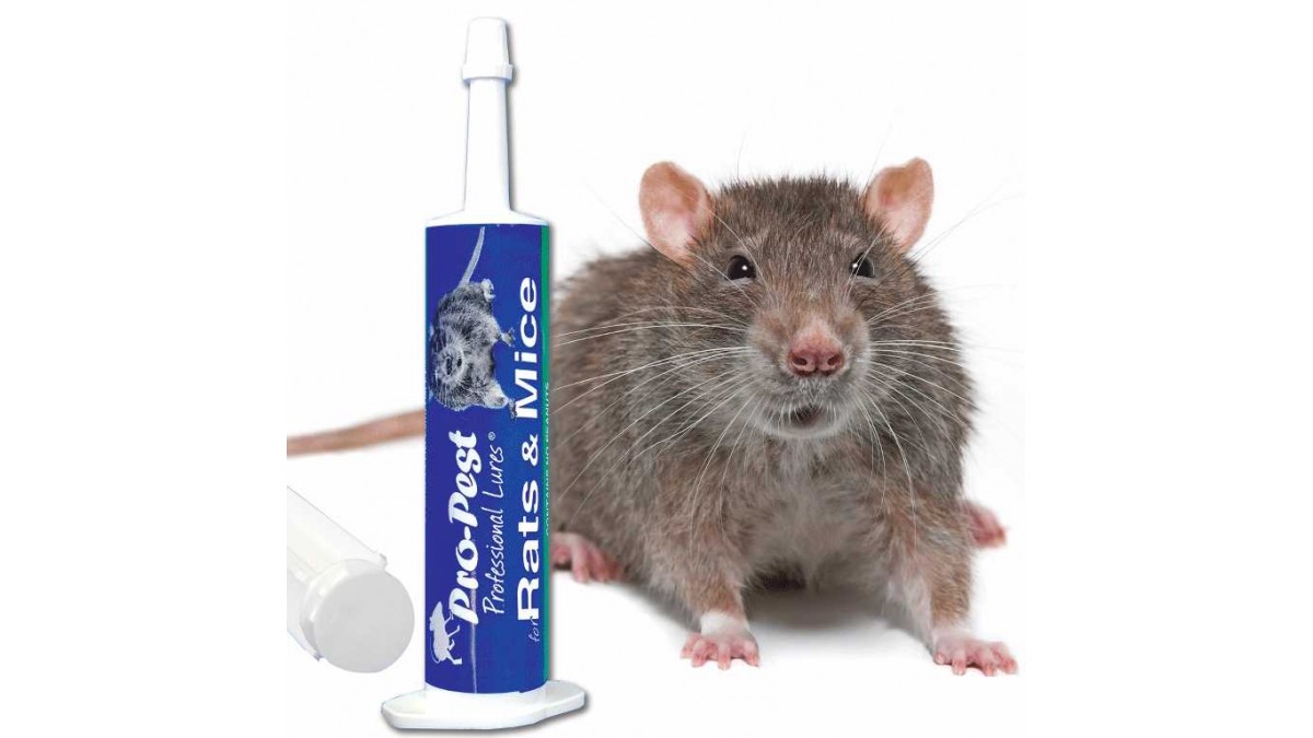 Pro-Pest Rat & Mouse Lure Fish Flavor-32cc Syringes