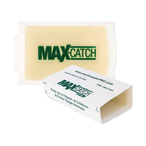 Catchmaster 72MBLK4US Mouse 4LB Unscented Blank Glue Board (72 boards per box) 