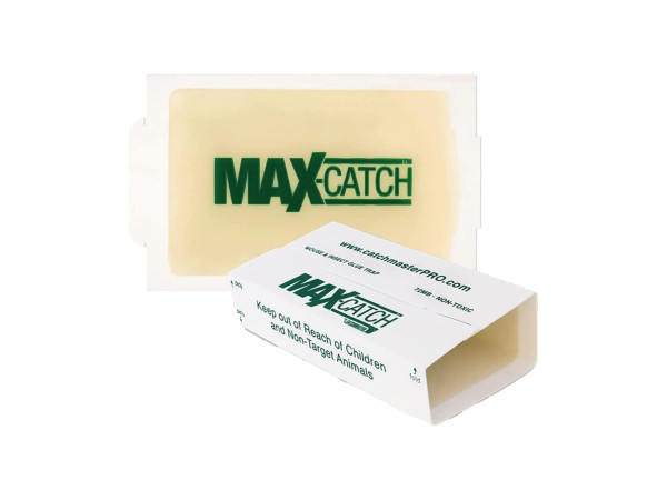 Catchmaster 72MBLK4US Mouse 4LB Unscented Blank Glue Board (72 boards per box) 