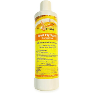 Flyweb Fruit Fly Spray Concentrate 12.8oz