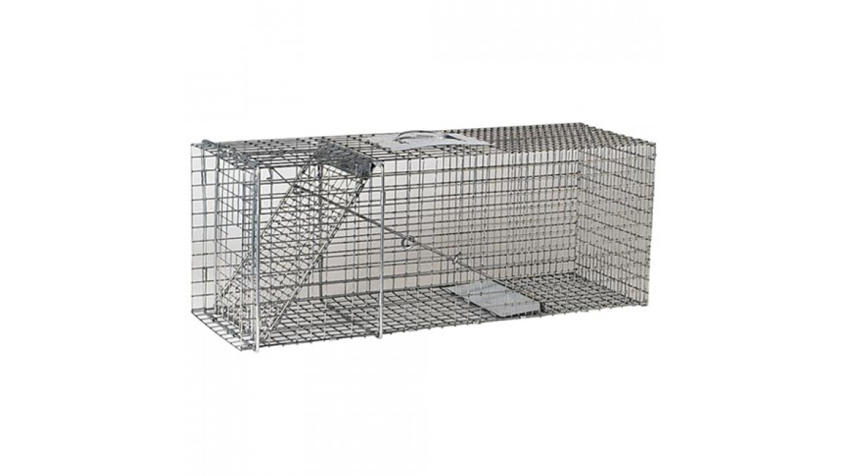 Havahart 1085 Easy Set One-Door Cage Trap for Raccoons, Stray Cats,  Groundhogs, Opossums, and Armadillos