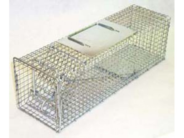 WCS™  Special Squirrel Trap - Front Release - 18 x 5 x 5 (1/2in Mesh )