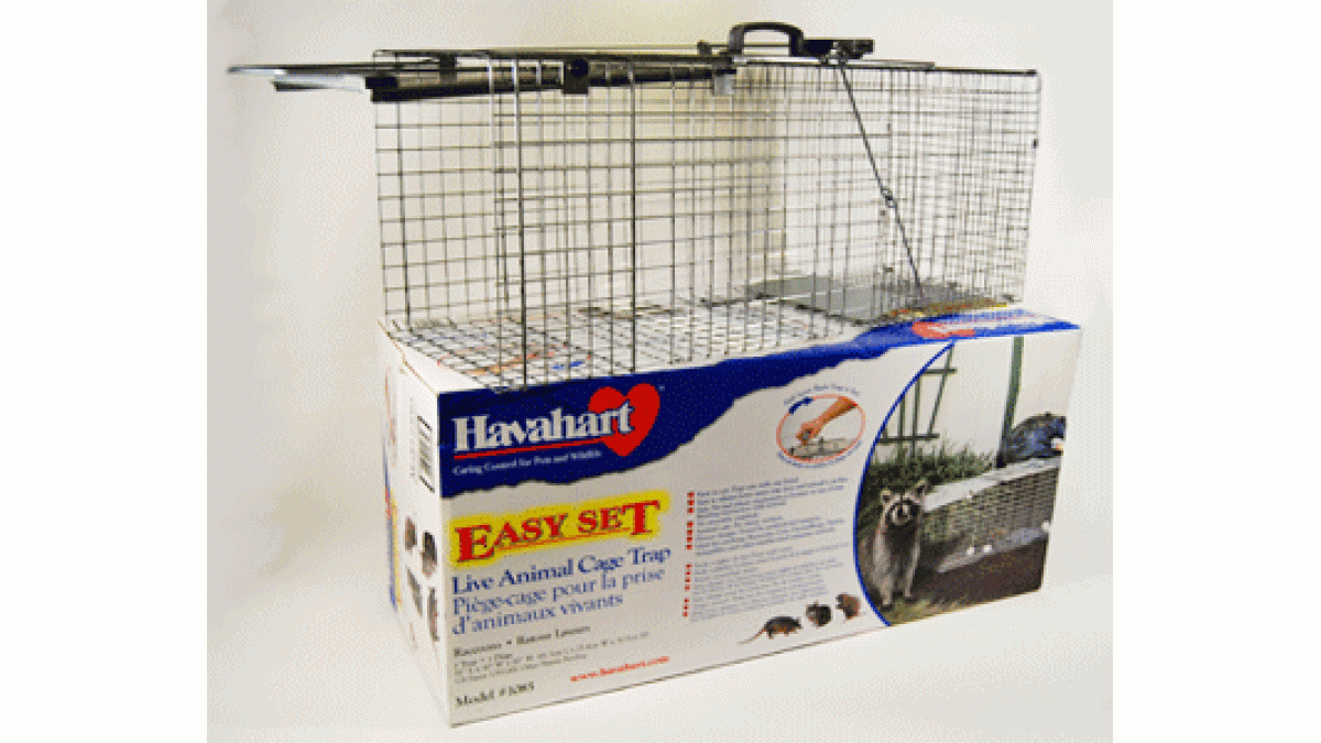 Havahart Easy Set Galvanized Steel 32 In. Live Raccoon Trap - Baller  Hardware