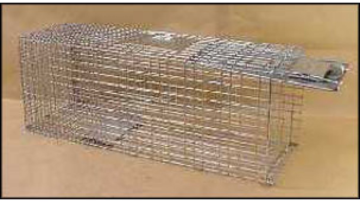 Woodstream - Havahart - EZ Set Cage Trap - Raccoon 1085 Easy Set Live  Animal Cage Trap